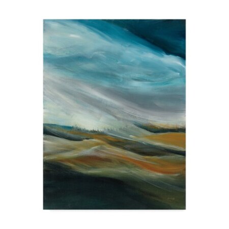 Trademark Fine Art Jan Griggs Sand Storm, 24x32-Inch